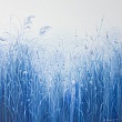 чистый синий / clean blue