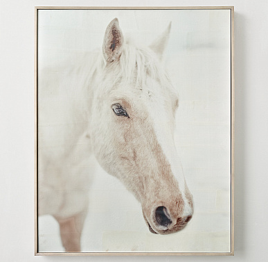 Лошадь в профиль (покрытый воском снимок)