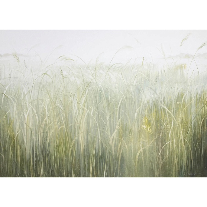 травы / herbs 251007
