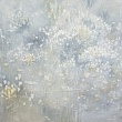 травы древнего моря / herbs of the ancient sea