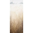 дверь iv / door iv