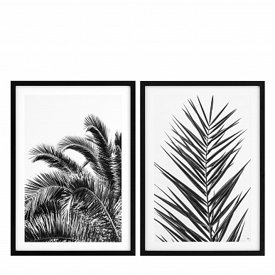 Комплект из 2 фотографий Palm Leaves