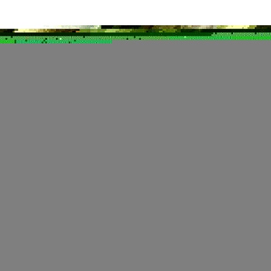 Шелест Осеннего Ветра