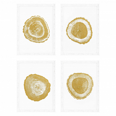 Комплект из 4 принтов Gold Foil: Tree Rings