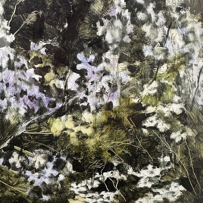 Дикие цветы