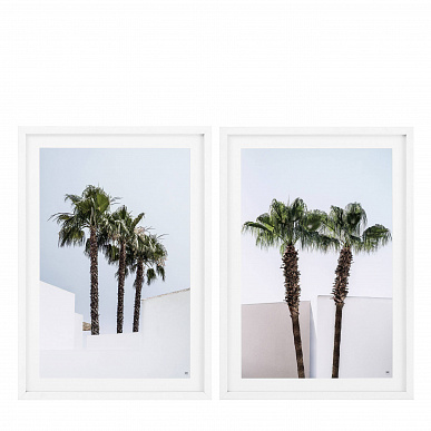 Комплект из 2 фотографий Palm Trees