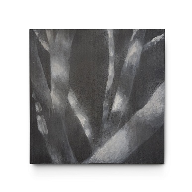 Ствол вишни