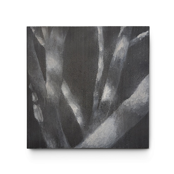 Ствол вишни