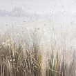 звуки тишины / the sounds of silence