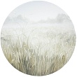 травы / herbs №251028