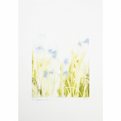 etude w.130227