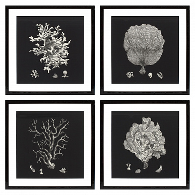 Комплект из 4 принтов Black & Tan Corals