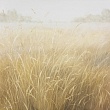 травы № 250928-01
