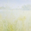 светлое предчувствие / a bright premonition
