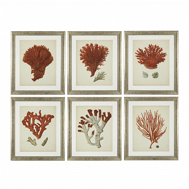 Комплект из 6 принтов Antique Red Corals