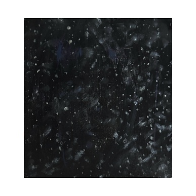 Ночной снег