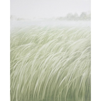 травы / herbs 250923-02