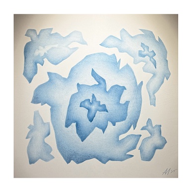 Заячья капуста