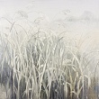 высокие травы / tall grasses