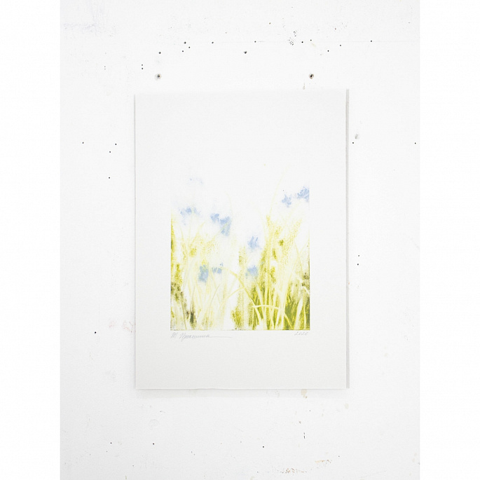 etude w.130227
