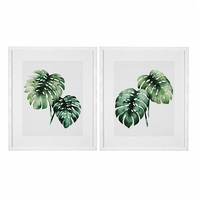 Комплект из 2 репродукций Tropical Plants