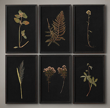 Гербарий на чёрном фоне Hand-pressed botanicals on linen в раме