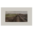 Road to the forest 