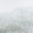 серебро / silver