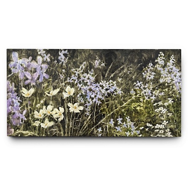 Дикие цветы