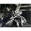 Palm (II)