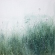 внутренние травы / inner herbs