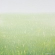 градиент / gradient