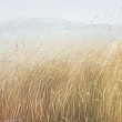вечное / eternal